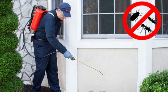 Pazarcık Gümüşkurt İlaçlama böcek ilaçlama ve haşere kontrolü — ilaclama-tr.com